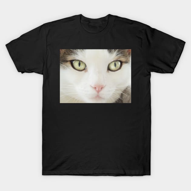 I Keep An Eye On You T-Shirt by AlexaZari